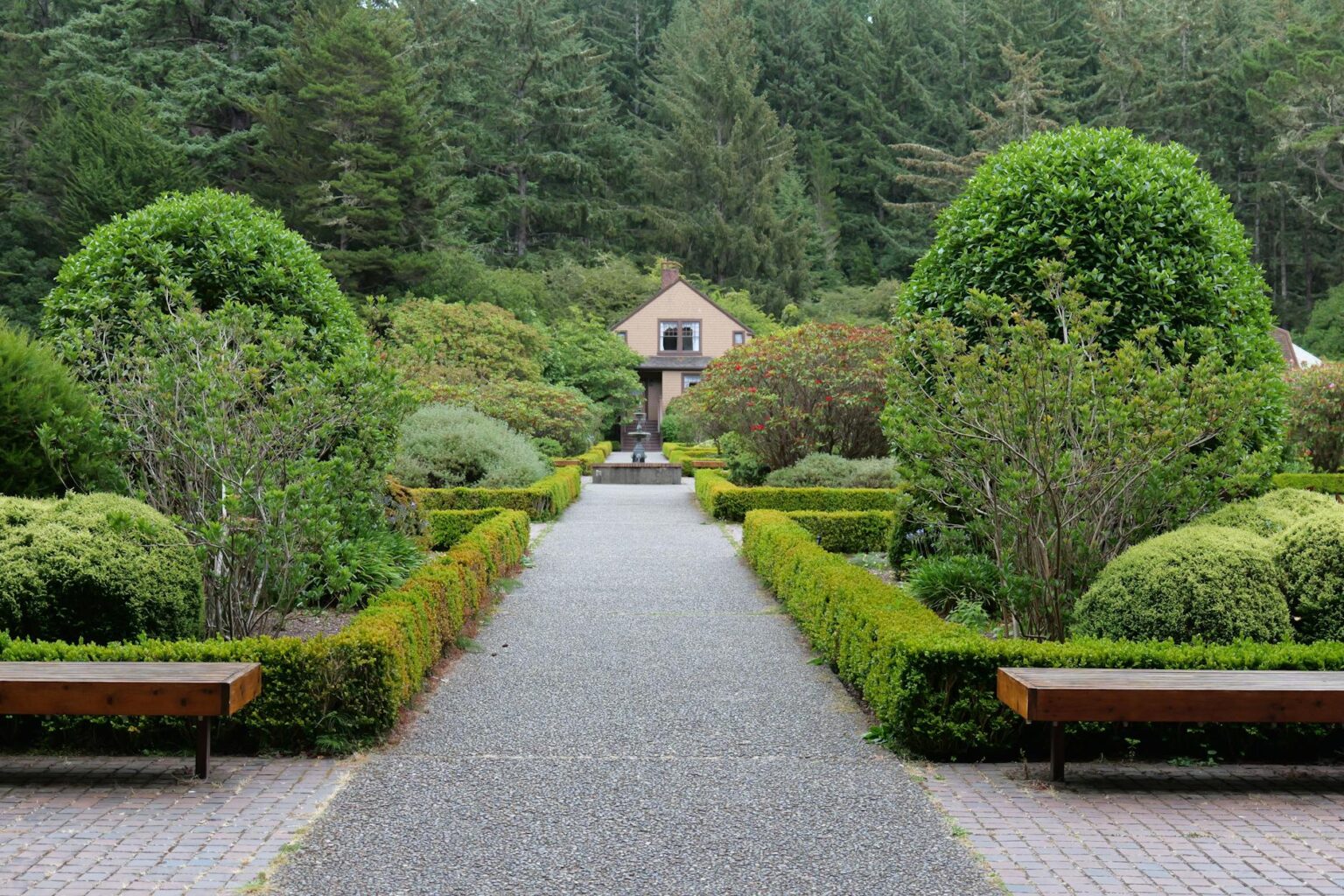 Winding garden pathway with raised beds and greenery creating natural runway space