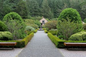 Winding garden pathway with raised beds and greenery creating natural runway space