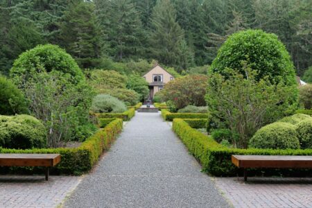 Winding garden pathway with raised beds and greenery creating natural runway space