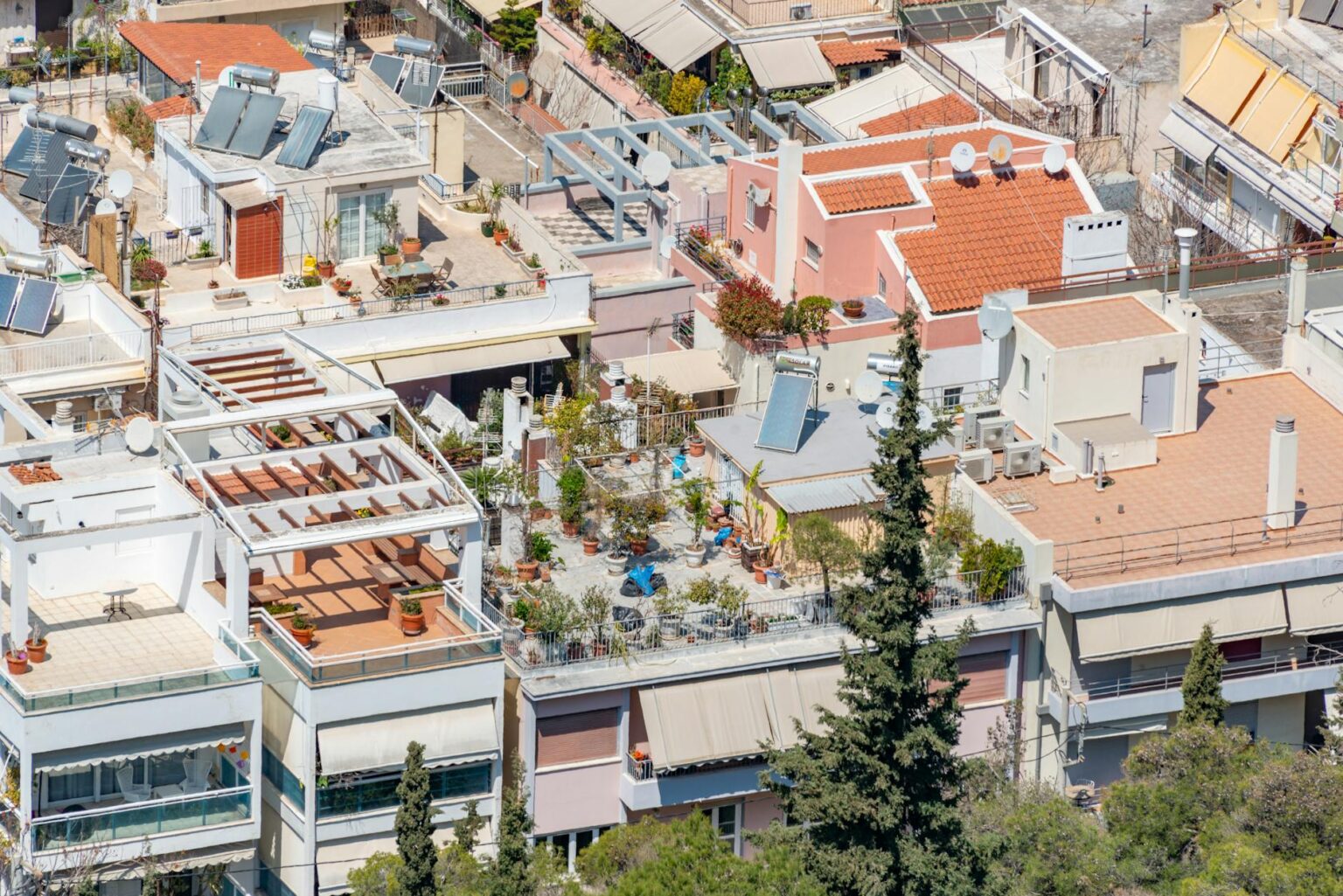 Urban rooftop garden with city skyline backdrop showing green plants and modern architecture