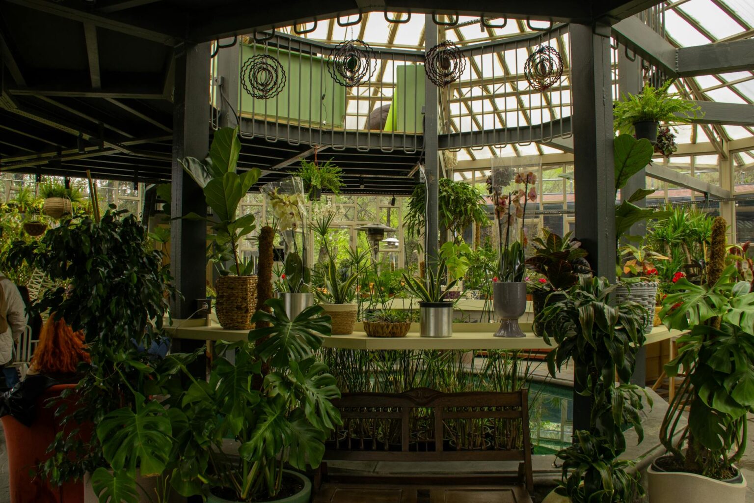 Interior view of botanical greenhouse with lush tropical plants and glass ceiling structure