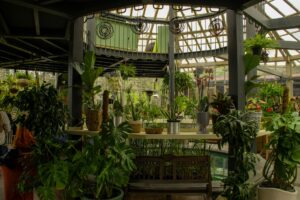 The Trend of Fashion Shows in Working Botanical Greenhouses Interior view of botanical greenhouse with lush tropical plants and glass ceiling structure