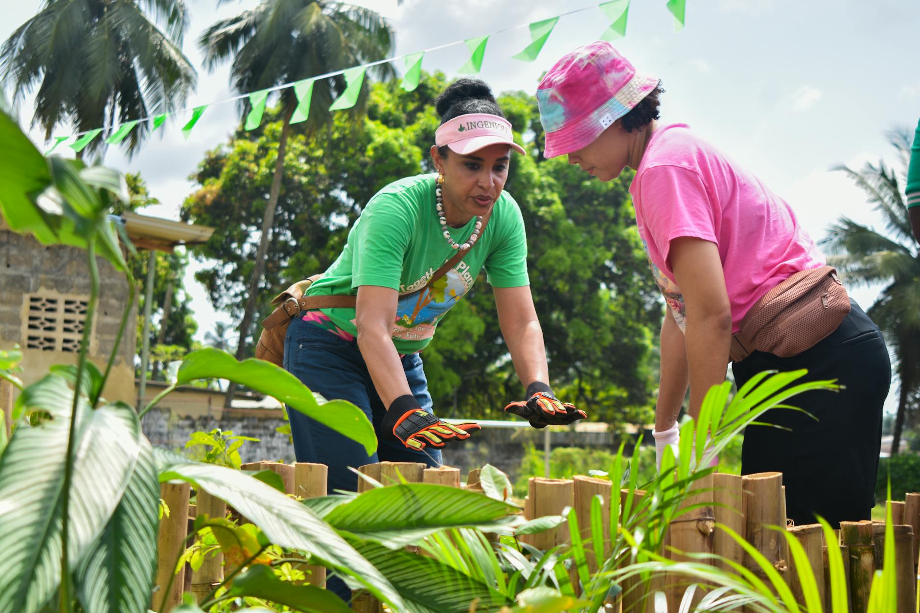Community garden space with volunteers working among vegetable beds and greenhouse structures