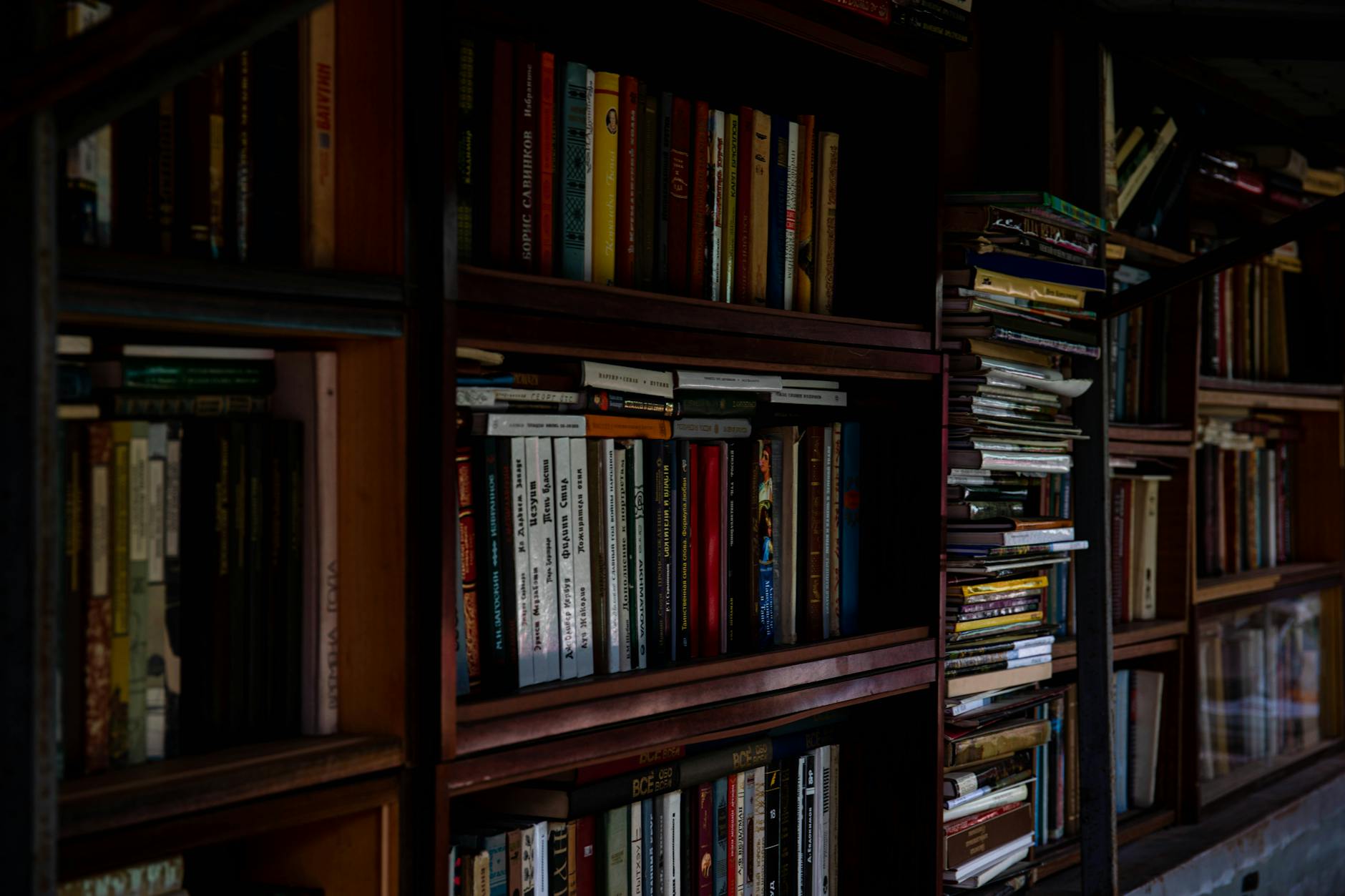 Rows of colorful books on library shelves