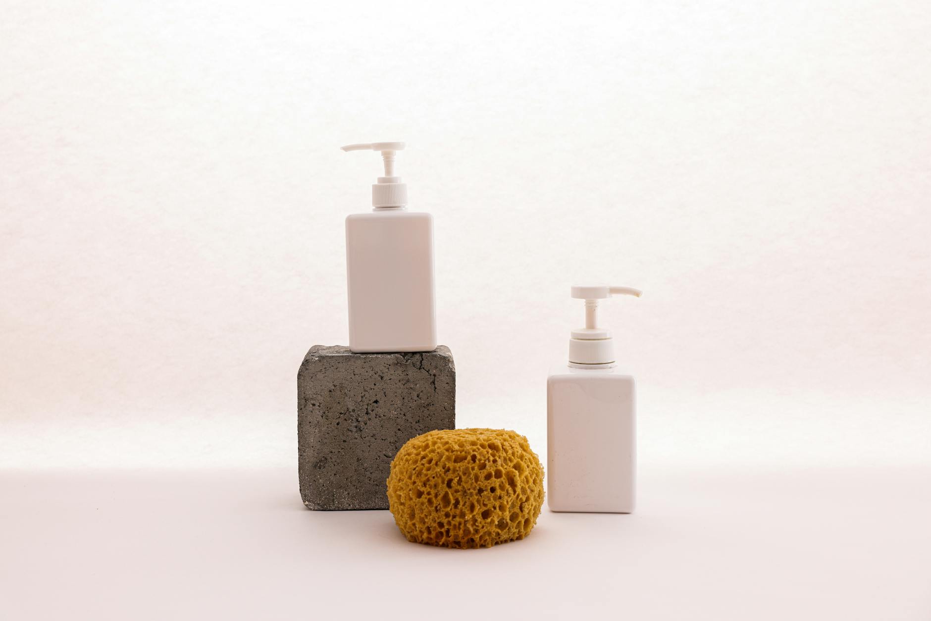 Natural marine sponge texture showing microscopic porous structure