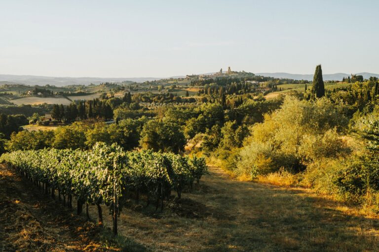 Tods Spring 2027 Mens Show Draws From Luigi Quiet Italian countryside road stretching toward a flat horizon, evoking the documentary photography of Luigi Ghirri
