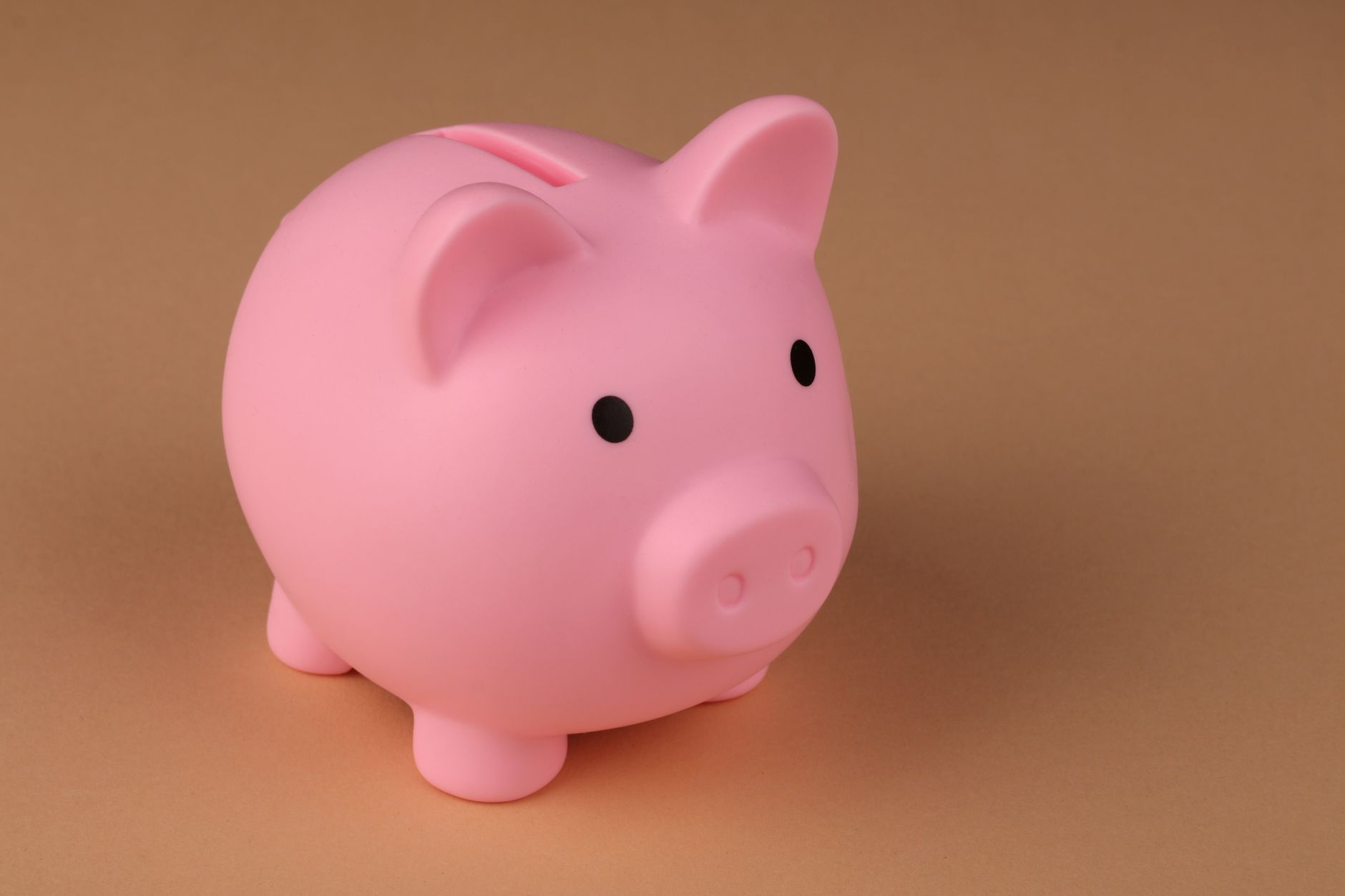 Ceramic piggy bank beside coins and a small plant on a bright surface