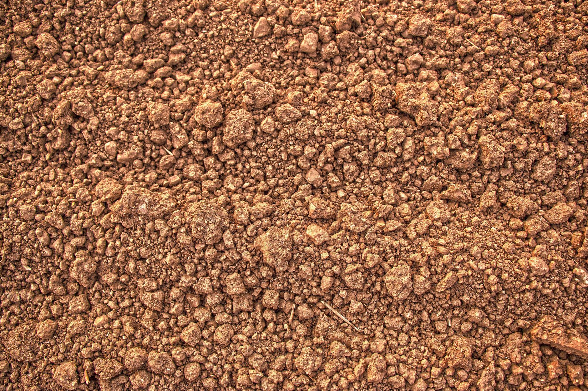 Detailed close-up of damp earth and soil after rainfall